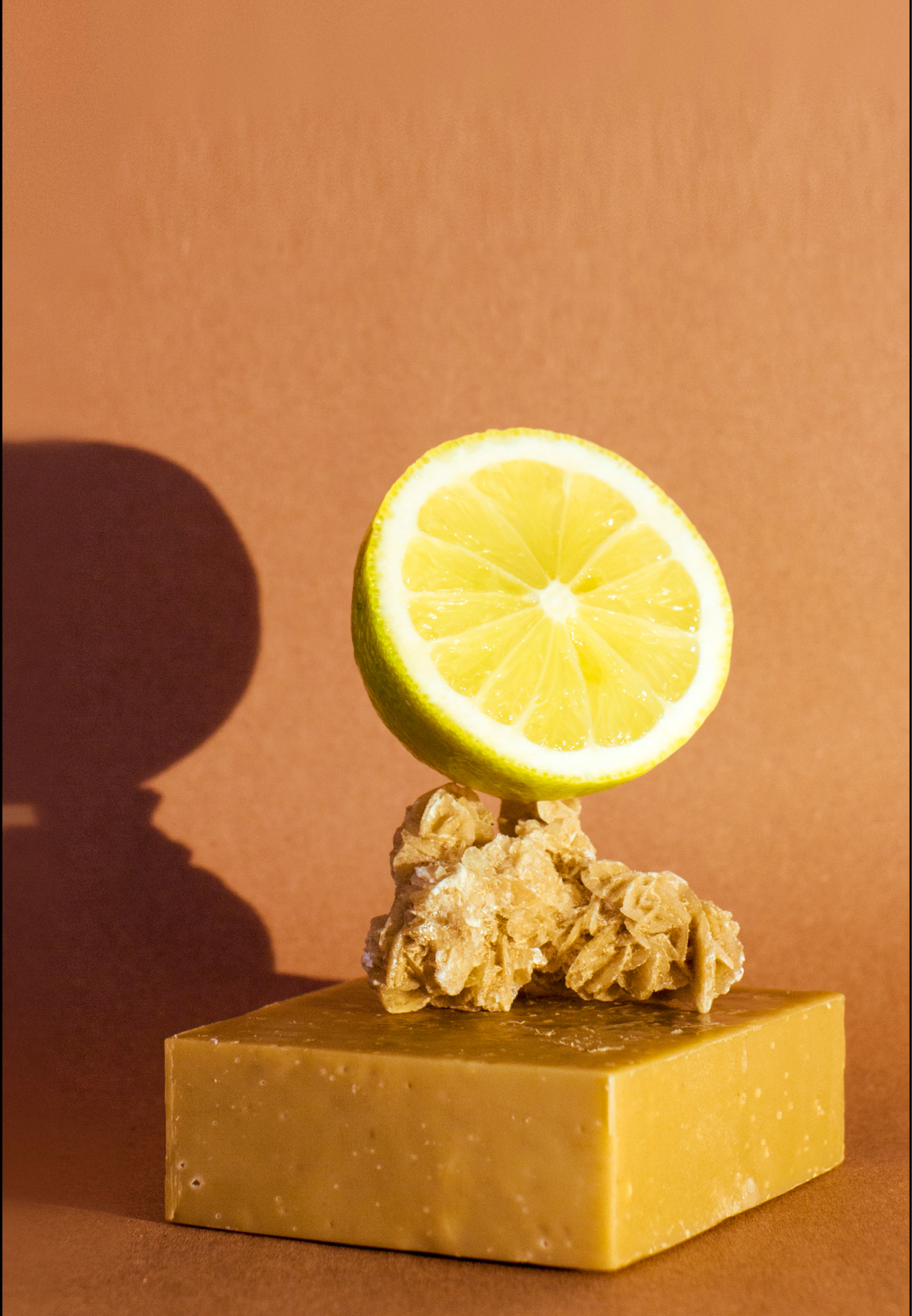 Savon corps et visage hydratant et bio - "La Citronneraie"